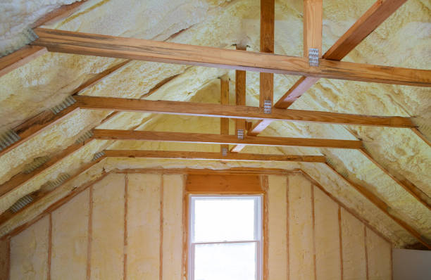 Best Insulation Inspection Services  in Prescott, WI