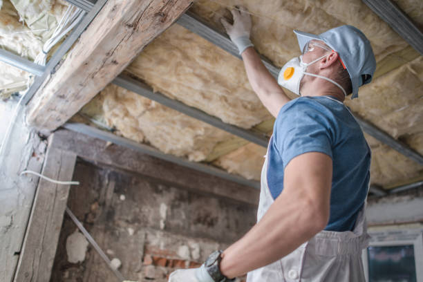 Best Best Insulation Companies  in Prescott, WI