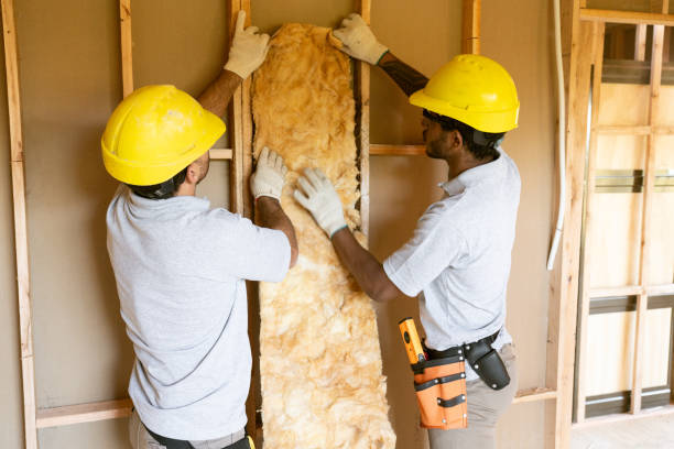 Best Insulation for New Construction  in Prescott, WI