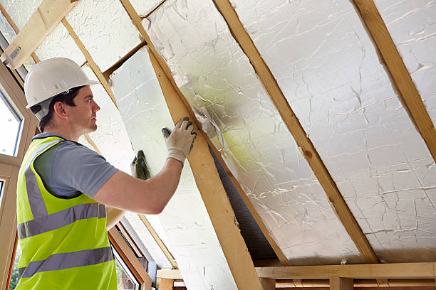 Best Local Insulation Services  in Prescott, WI